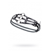 Черный кожаный пояс с кольцами - Pecado - купить с доставкой в Тольятти