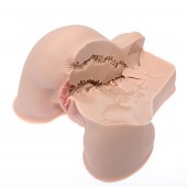 Мастурбатор-полуторс Naked Factory Kate - Naked Factory - в Тольятти купить с доставкой