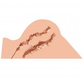 Мастурбатор-полуторс Naked Factory Hannah - Naked Factory - в Тольятти купить с доставкой