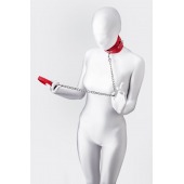 Красный ошейник с подкладкой из меха - ToyFa - купить с доставкой в Тольятти