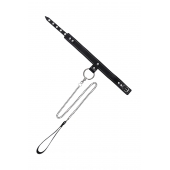 Черный узкий однослойный ошейник с серебристым поводком-цепочкой - Pecado - купить с доставкой в Тольятти