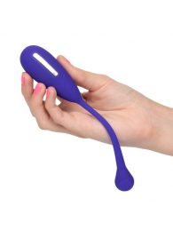 Фиолетовый шарик с электростимуляцией и вибрацией Intimate E-Stimulator Remote Kegel Exerciser - California Exotic Novelties - купить с доставкой в Тольятти