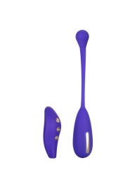 Фиолетовый шарик с электростимуляцией и вибрацией Intimate E-Stimulator Remote Kegel Exerciser - California Exotic Novelties - купить с доставкой в Тольятти