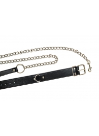 Черный ошейник с поводком Wild - Lola Games - купить с доставкой в Тольятти