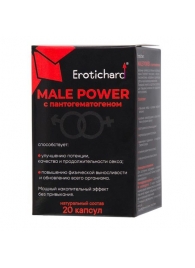 Капсулы для мужчин Erotichard male power с пантогематогеном - 20 капсул (0,370 гр.) - Erotic Hard - купить с доставкой в Тольятти