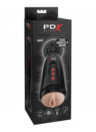 Мастурбатор-вагина с вибрацией Dirty Talk Starter Stroker - Pipedream - в Тольятти купить с доставкой