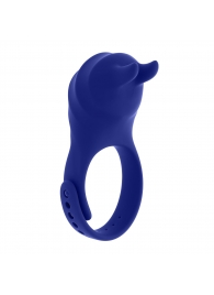 Синее эрекционное виброкольцо с клиторальной подушечкой и пультом ДУ Adjustable Fun Ring - Zero Tolerance - в Тольятти купить с доставкой