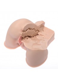 Мастурбатор-полуторс Naked Factory Kate - Naked Factory - в Тольятти купить с доставкой