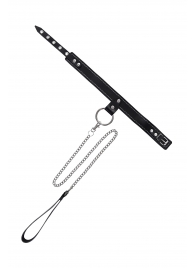 Черный узкий однослойный ошейник с серебристым поводком-цепочкой - Pecado - купить с доставкой в Тольятти