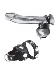 Утяжка для мошонки и пениса Cock Ring With 1  Ball Stretcher And Optional Weight Ring - BlueLine - купить с доставкой в Тольятти