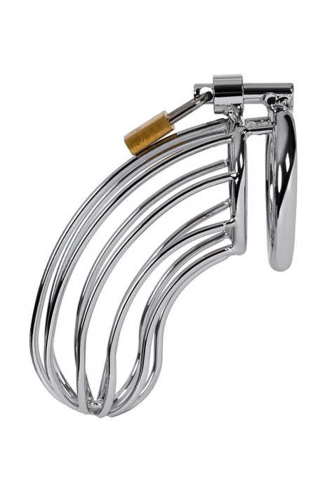 Серебристый пояс верности TOYFA на замочке - ToyFa - купить с доставкой в Тольятти