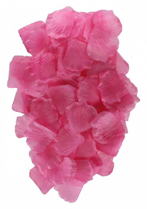 Эротический набор FANTASTIC PURPLE SEX TOY KIT - Toy Joy - купить с доставкой в Тольятти