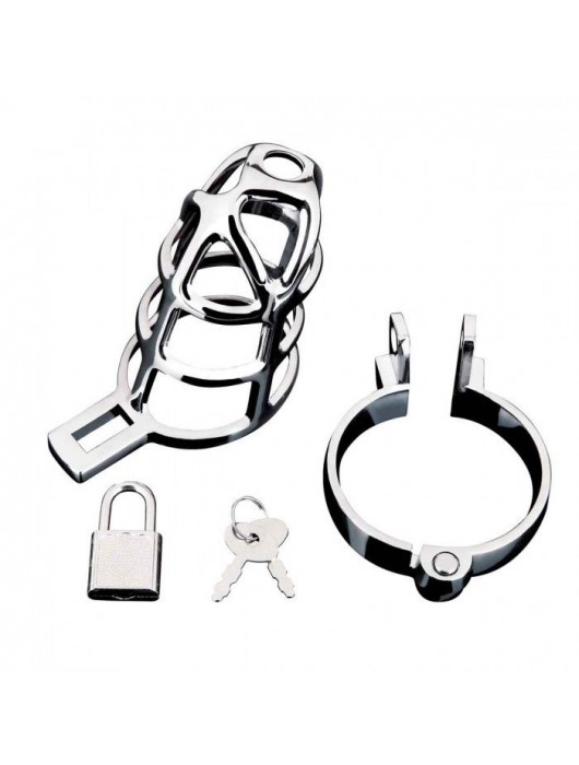 Серебристая металлическая клетка для члена с замком Enslave Cock Cage - BlueLine - купить с доставкой в Тольятти