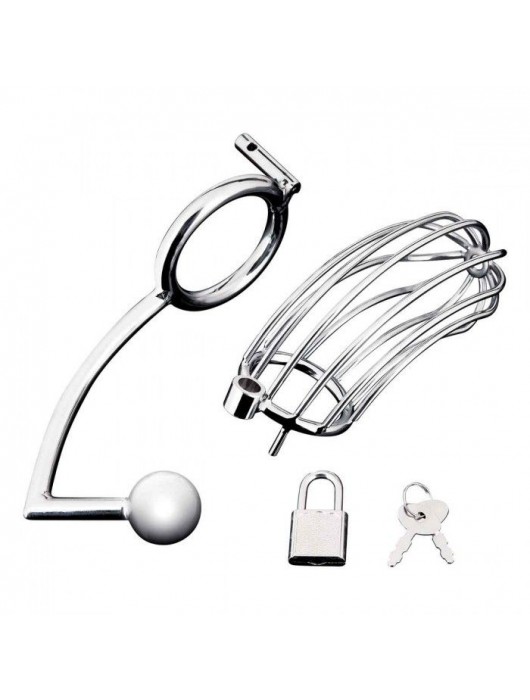 Серебристая металлическая клетка с анальным стимулятором Cock Cage - BlueLine - купить с доставкой в Тольятти