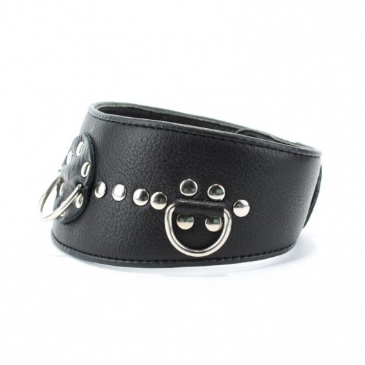 Чёрный кожаный ошейник с полукольцами и клёпками - БДСМ Арсенал - купить с доставкой в Тольятти