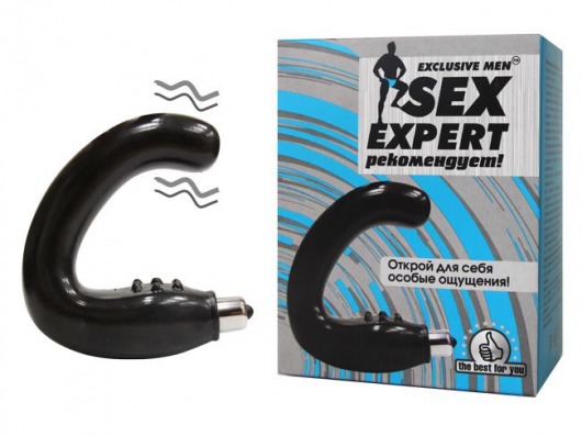 Чёрный массажёр простаты серии Sex Expert - Sex Expert - в Тольятти купить с доставкой