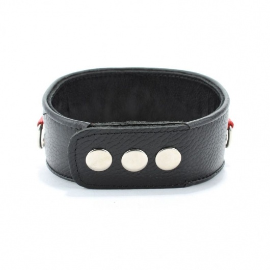 Кожаный ошейник с металлическими клепками - БДСМ Арсенал - купить с доставкой в Тольятти