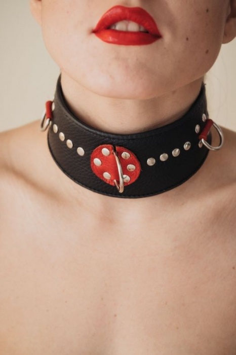 Кожаный ошейник с металлическими клепками - БДСМ Арсенал - купить с доставкой в Тольятти