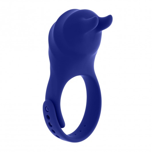 Синее эрекционное виброкольцо с клиторальной подушечкой и пультом ДУ Adjustable Fun Ring - Zero Tolerance - в Тольятти купить с доставкой