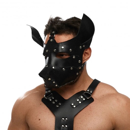 Черная кожаная маска «Собака» - Crazy Handmade - купить с доставкой в Тольятти