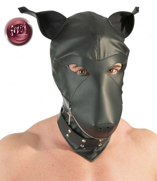 Шлем-маска Dog Mask в виде морды собаки - Orion - купить с доставкой в Тольятти