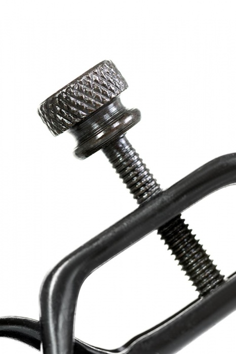 Черно-золотистые зажимы для сосков TOYFA Theatre - ToyFa - купить с доставкой в Тольятти